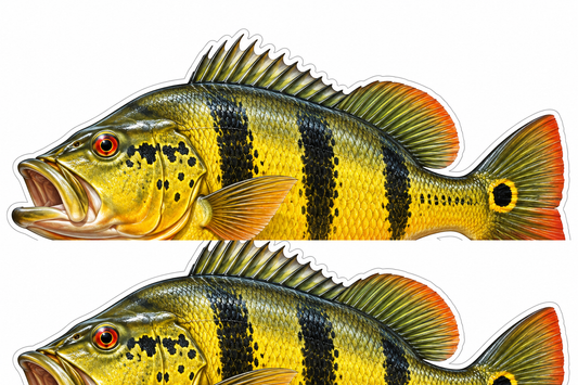 Peacock Bass Isometric Boat Sticker Decal