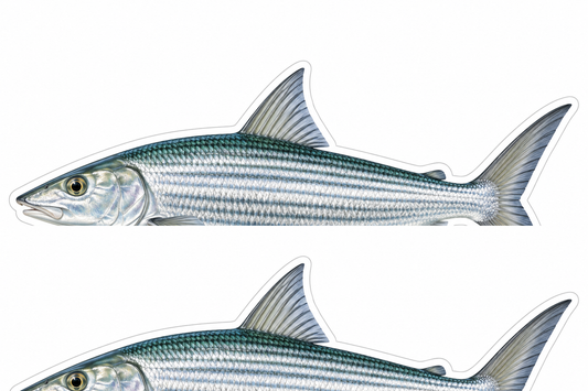 Bonefish Isometric Boat Sticker Decal