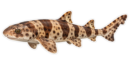 Brown Spotted Shark with Dark Saddle Bands Art Vinyl Decal Stickers