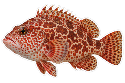 Red Mottled Fish with Broad Round Fins Art Vinyl Decal Stickers