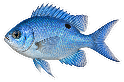 Blue One Spot Puller Fish Art Vinyl Decal Stickers