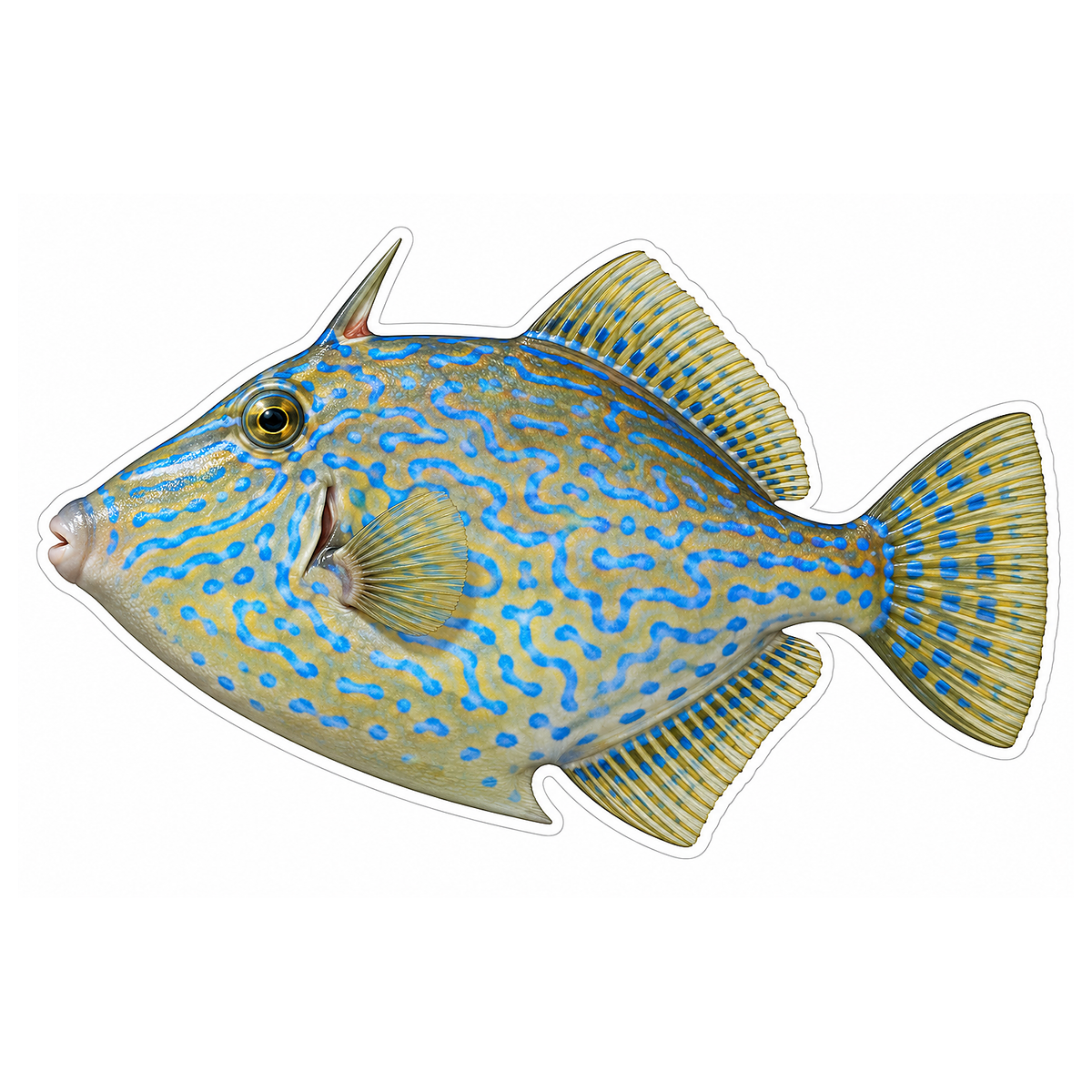 Golden Filefish with Blue Maze Markings Vinyl Decal Stickers
