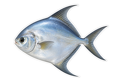 Pacific Pompano Art Vinyl Decal Stickers