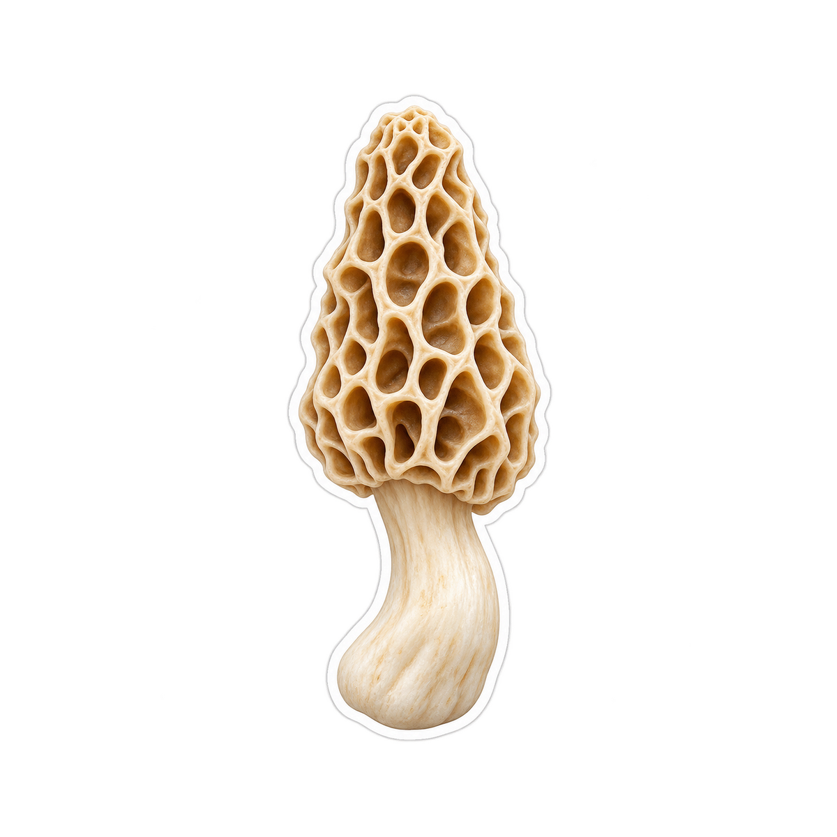 Ivory Honeycomb Morel Mushroom Art Vinyl Decal Stickers