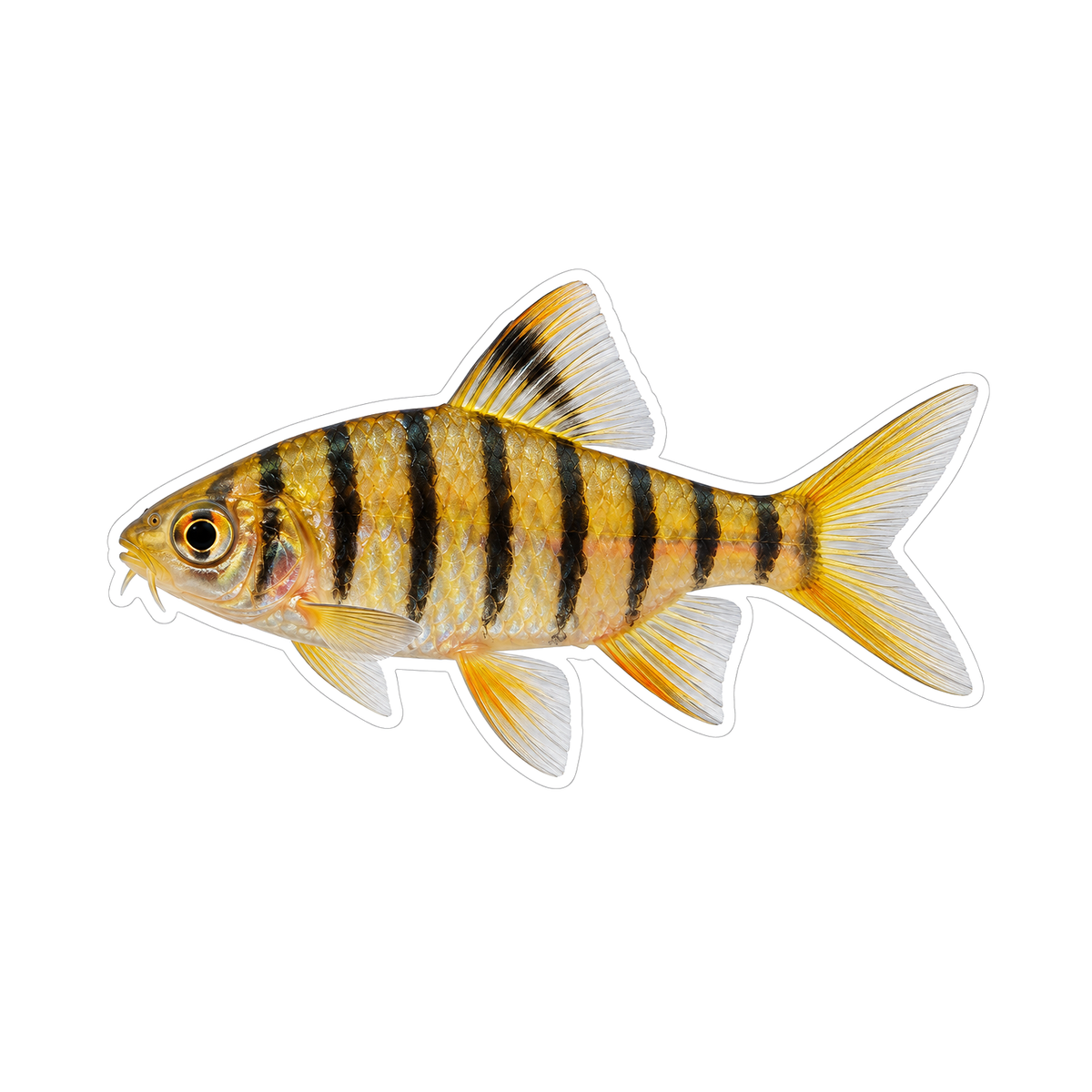 Gold Fish with Narrow Black Vertical Stripes Vinyl Decal Stickers