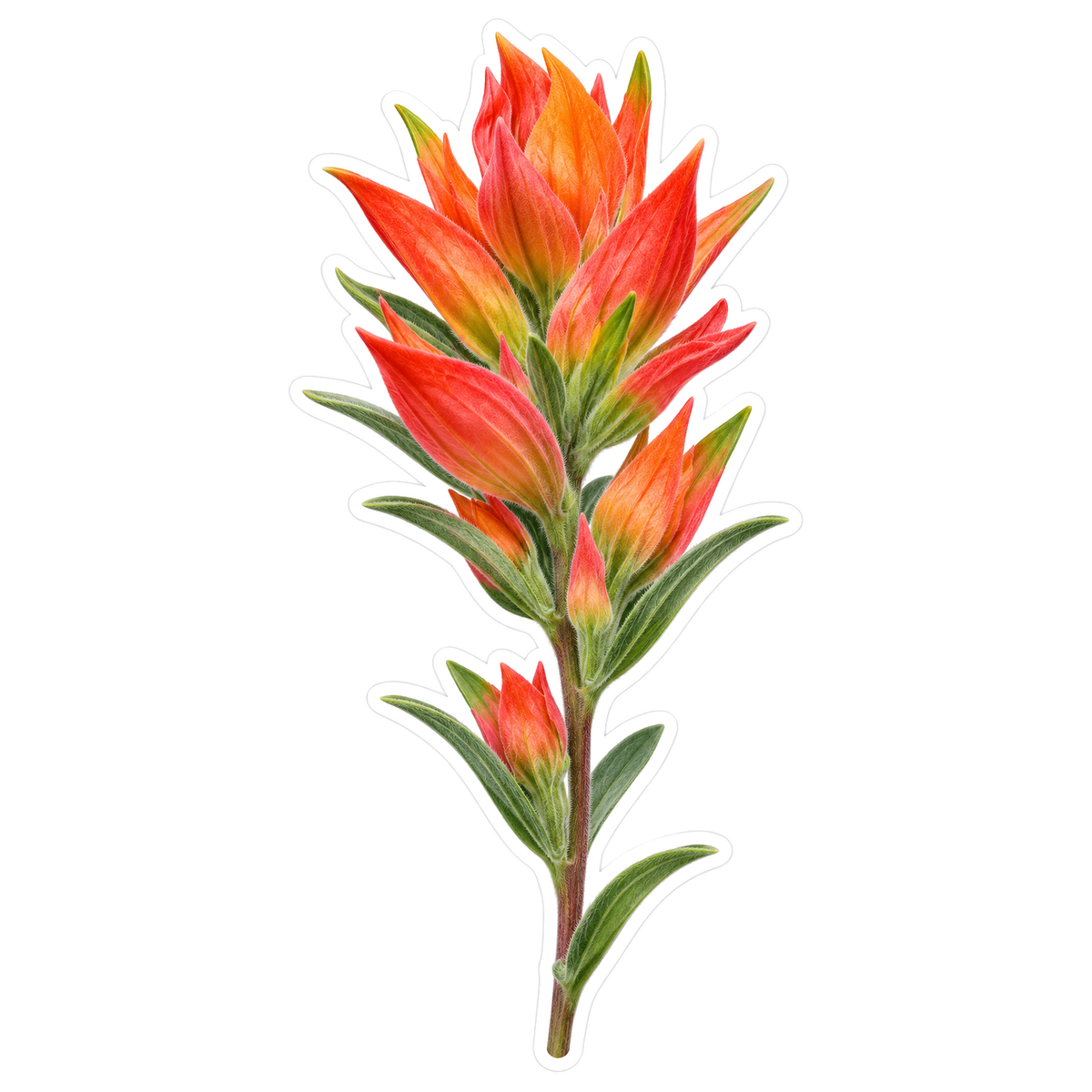 Orange Red Wildflower Green Stem Vinyl Decal Stickers