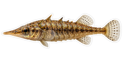Tan Armored Fish with Sharp Back Spines Art Vinyl Decal Stickers