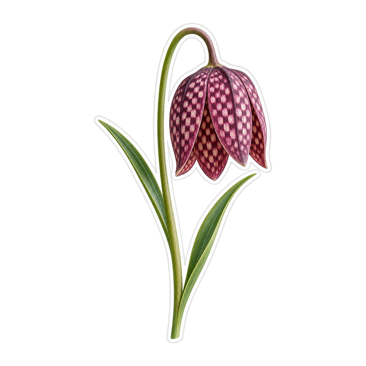 Plum Checkered Bell Fritillaria Flower Vinyl Decal Stickers