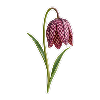 Plum Checkered Bell Fritillaria Flower Vinyl Decal Stickers