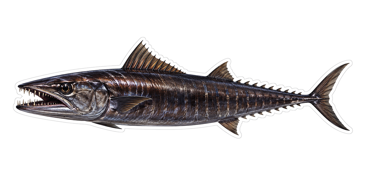 Snake Mackerel Art Vinyl Decal Stickers
