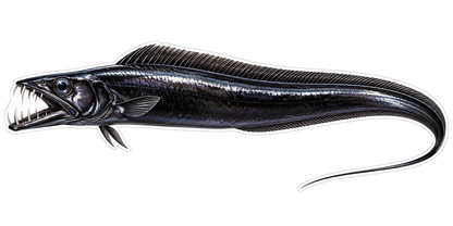 Black Fanged Ribbon Fish with Curved Tail Art Vinyl Decal Stickers