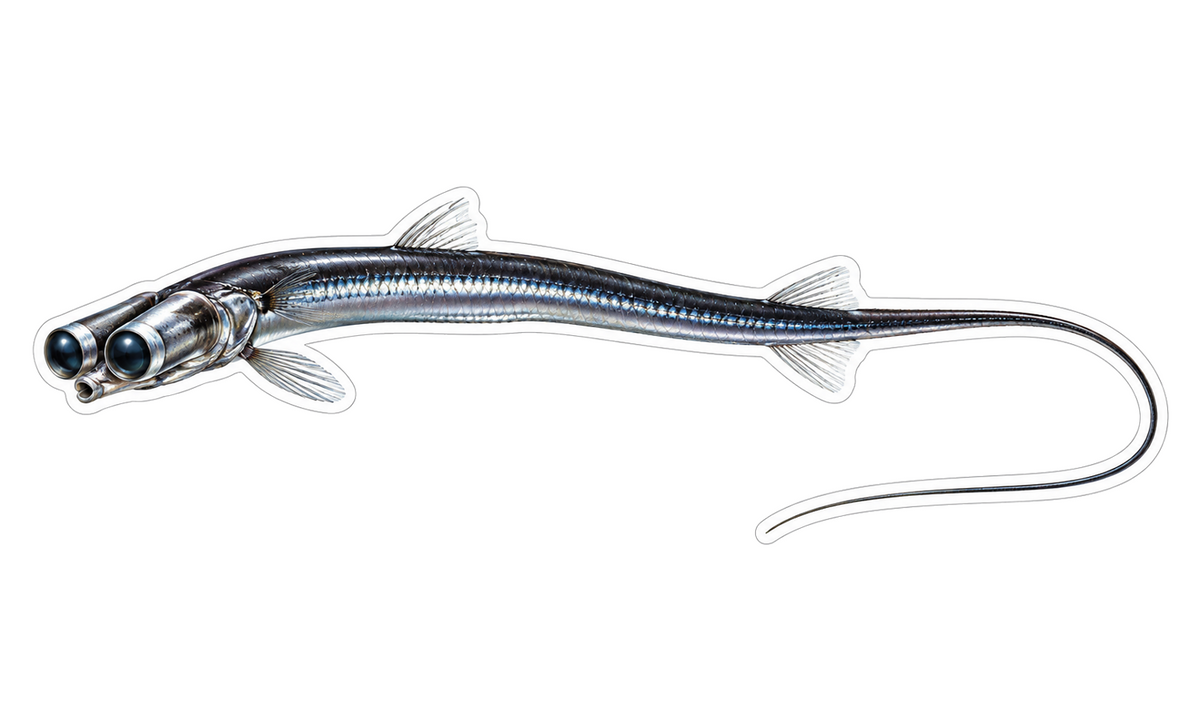 Slender Silver Thread Tail Fish Vinyl Decal Stickers