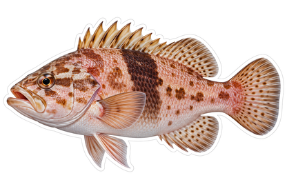 Pink Fish with Brown Belt and Spots Art Vinyl Decal Stickers