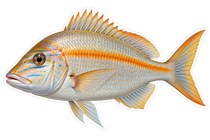 Silver Fish with Orange Side Stripe Art Vinyl Decal Stickers