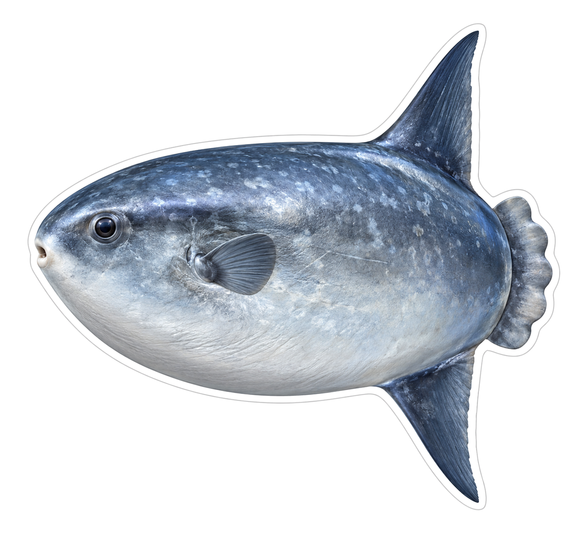 Slender Mola Art Vinyl Decal Stickers
