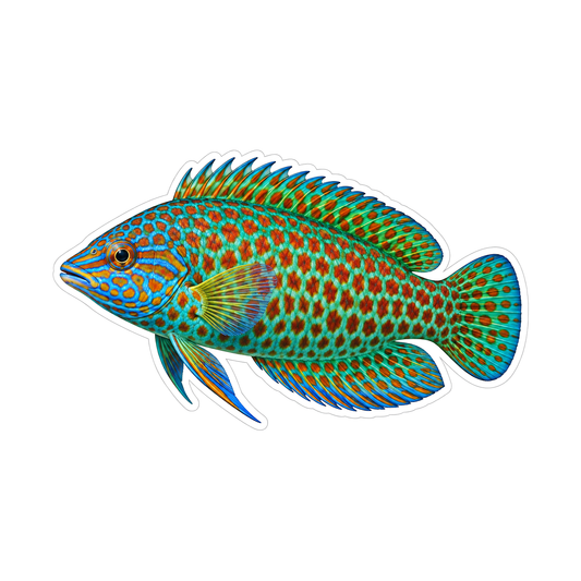 Teal Fish with Rust Speckles and Blue Face Vinyl Decal Stickers