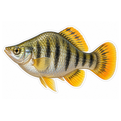 Humpback Limia Fish Art Vinyl Decal Stickers