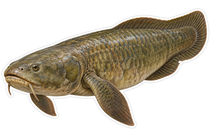 Brown Paddle Finned Fish Rounded Tail Vinyl Decal Stickers