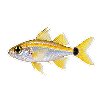 Silver Yellow Fish with Black Tail Dot Vinyl Decal Stickers