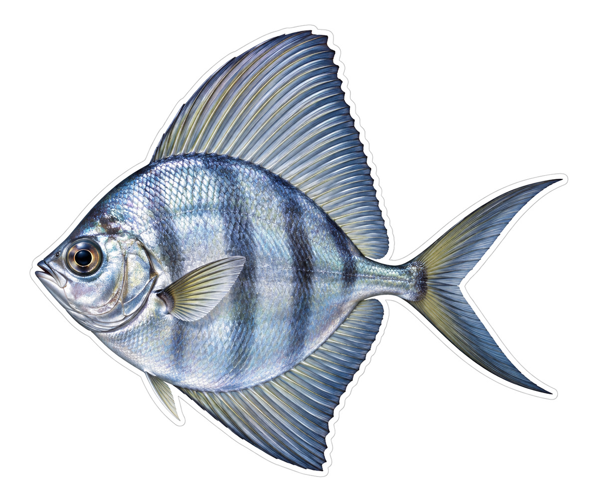 Sailfin Moonfish Art Vinyl Decal Stickers