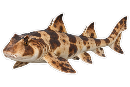 Brown Banded Japanese Bullhead Shark Vinyl Decal Stickers