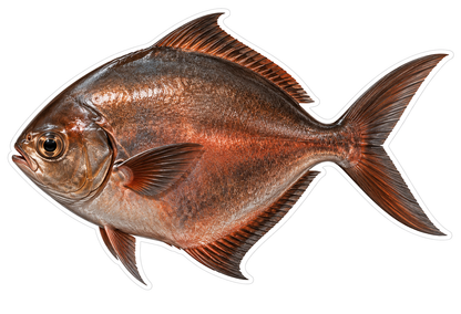 Bronze Deep Bodied Fish with Forked Tail Vinyl Decal Stickers