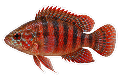Rust Red Fish with Black Vertical Bars Art Vinyl Decal Stickers