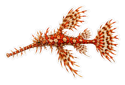 Orange White Ornate Ghost Pipefish Art Vinyl Decal Stickers
