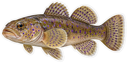 Brown Fish with Violet Spots Art Vinyl Decal Stickers