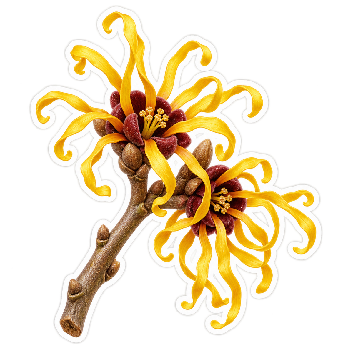 Golden Ribbon Petal Flowers Art Vinyl Decal Stickers