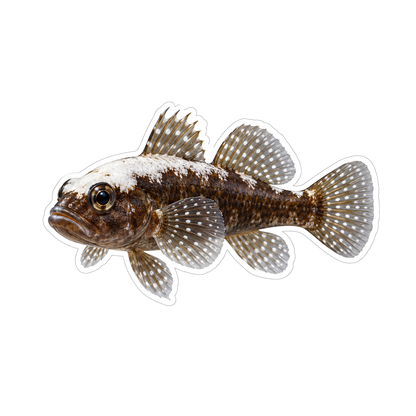 Brown and White Fish with Dotted Fan Fins Vinyl Decal Stickers
