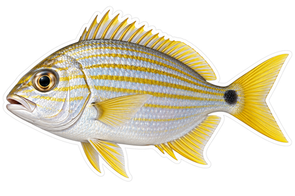Silver Yellow Striped Fish with Tail Spot Art Vinyl Decal Stickers