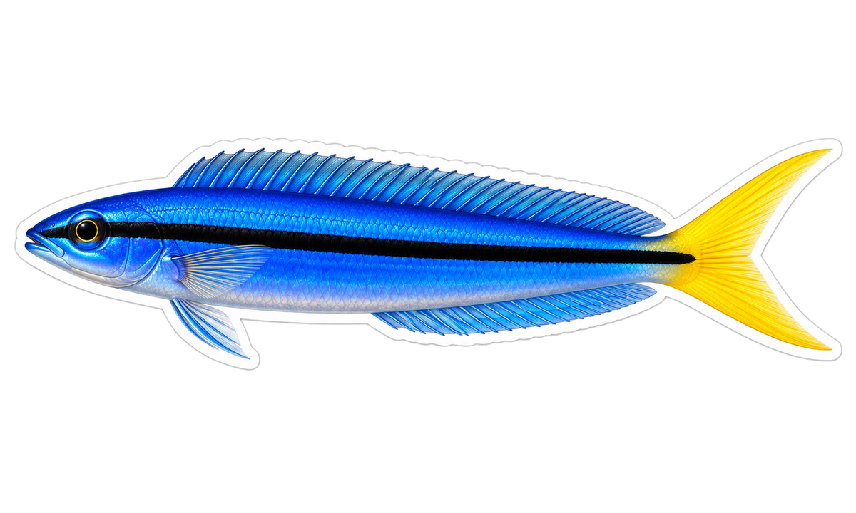 Blue Fish with Black Stripe and Yellow Tail Art Vinyl Decal Stickers