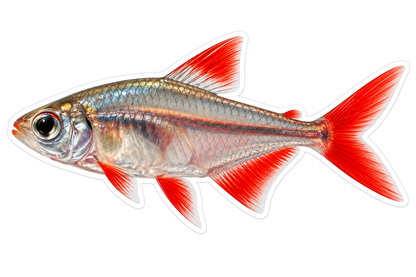 Translucent Silver Fish with Red Fins Vinyl Decal Stickers