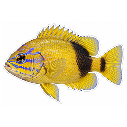 Yellow Fish with Blue Face Lines Vinyl Decal Stickers