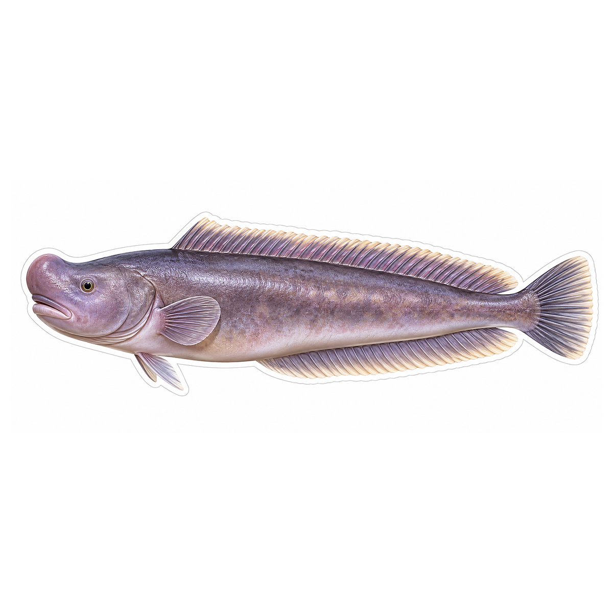 Long Mauve Prowfish with Rounded Tail Vinyl Decal Stickers