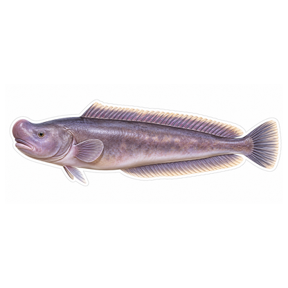 Long Mauve Prowfish with Rounded Tail Vinyl Decal Stickers