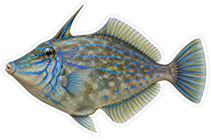 Olive Filefish with Blue Lines and Tall Horn Art Vinyl Decal Stickers