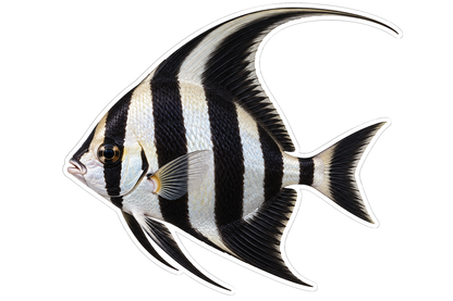 Black White Highhat Fish with Tall Fin Vinyl Decal Stickers