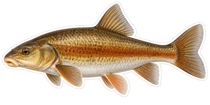 Bronze Fish with Rust Colored Side Art Vinyl Decal Stickers