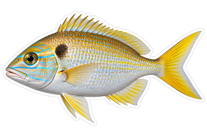 Yellow Finned Fish with Blue Face Lines Art Vinyl Decal Stickers