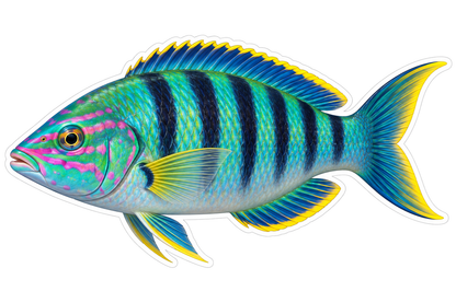 Turquoise Fish with Black Bars and Pink Face Vinyl Decal Stickers