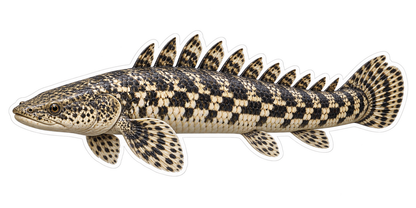 Ornate Checkered Spiny Fish Art Vinyl Decal Stickers