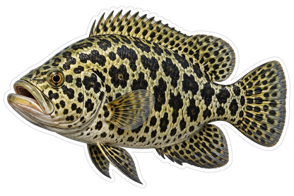 Jaguar Cichlid Art Vinyl Decal Stickers
