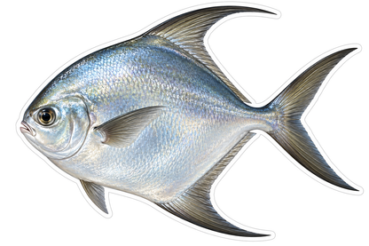 Silver Fish with Long Curved Black Fins Art Vinyl Decal Stickers
