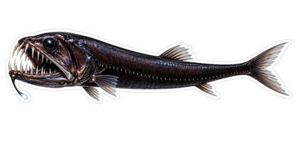 Black Fanged Fish with Chin Filament Art Vinyl Decal Stickers