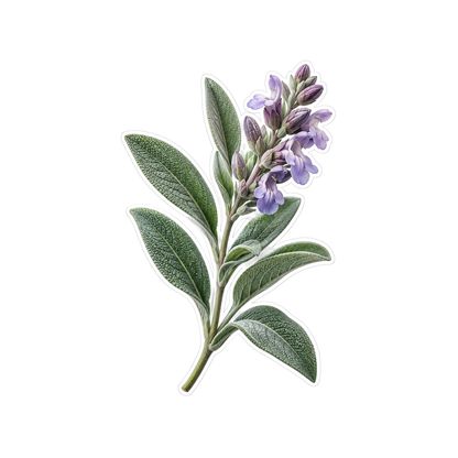 Sage Leaves and Lilac Flowers Art Vinyl Decal Stickers