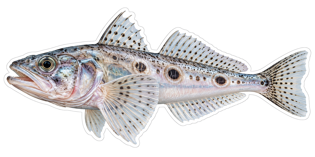 Pale Spotted Fish with Dark Ringed Side Marks Vinyl Decal Stickers