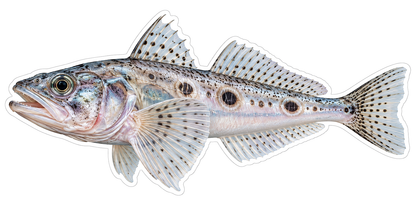 Pale Spotted Fish with Dark Ringed Side Marks Vinyl Decal Stickers