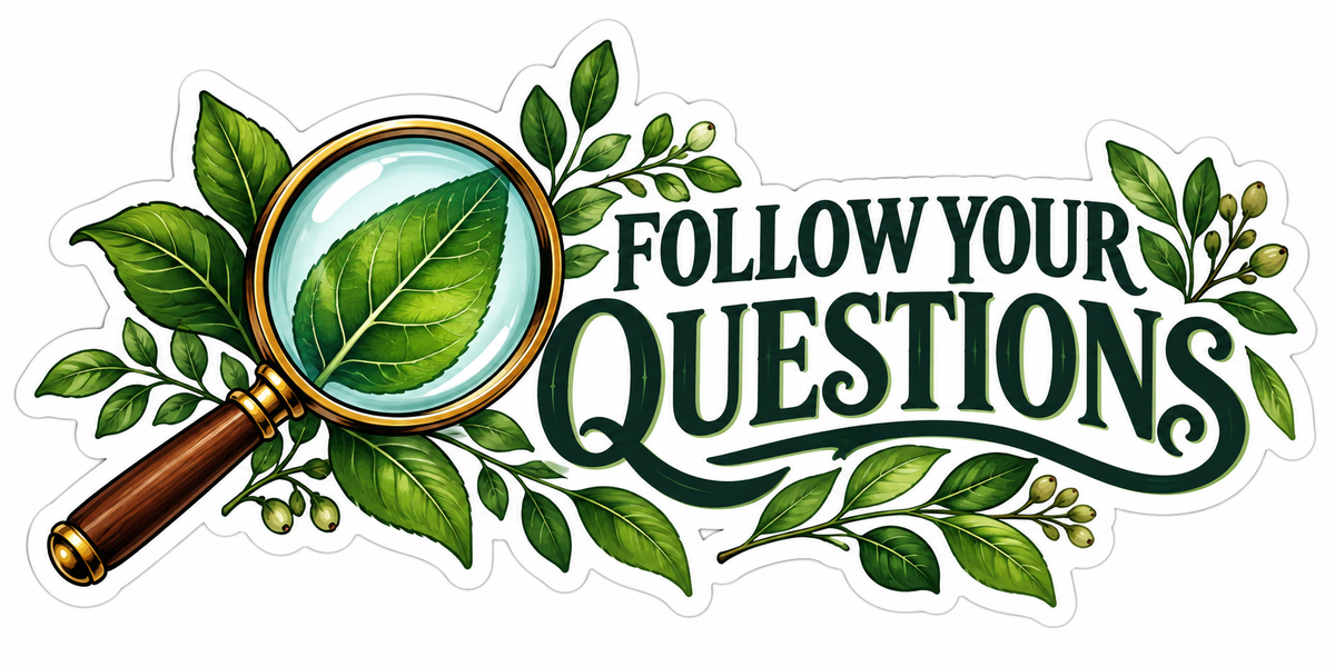 Follow Your Questions Magnifying Glass Leaves Vinyl Decal Stickers